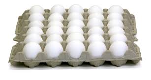 egg trays 7