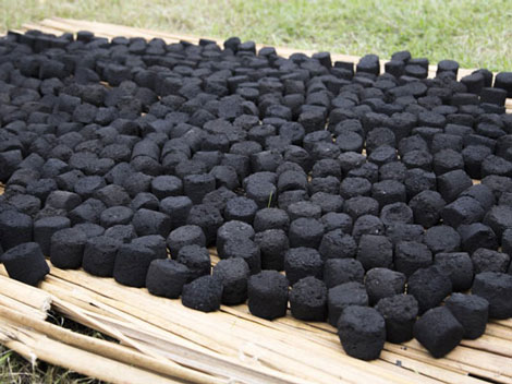 Sugarcane Bagasse Uses For Charcoal