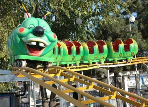 backyard roller coaster