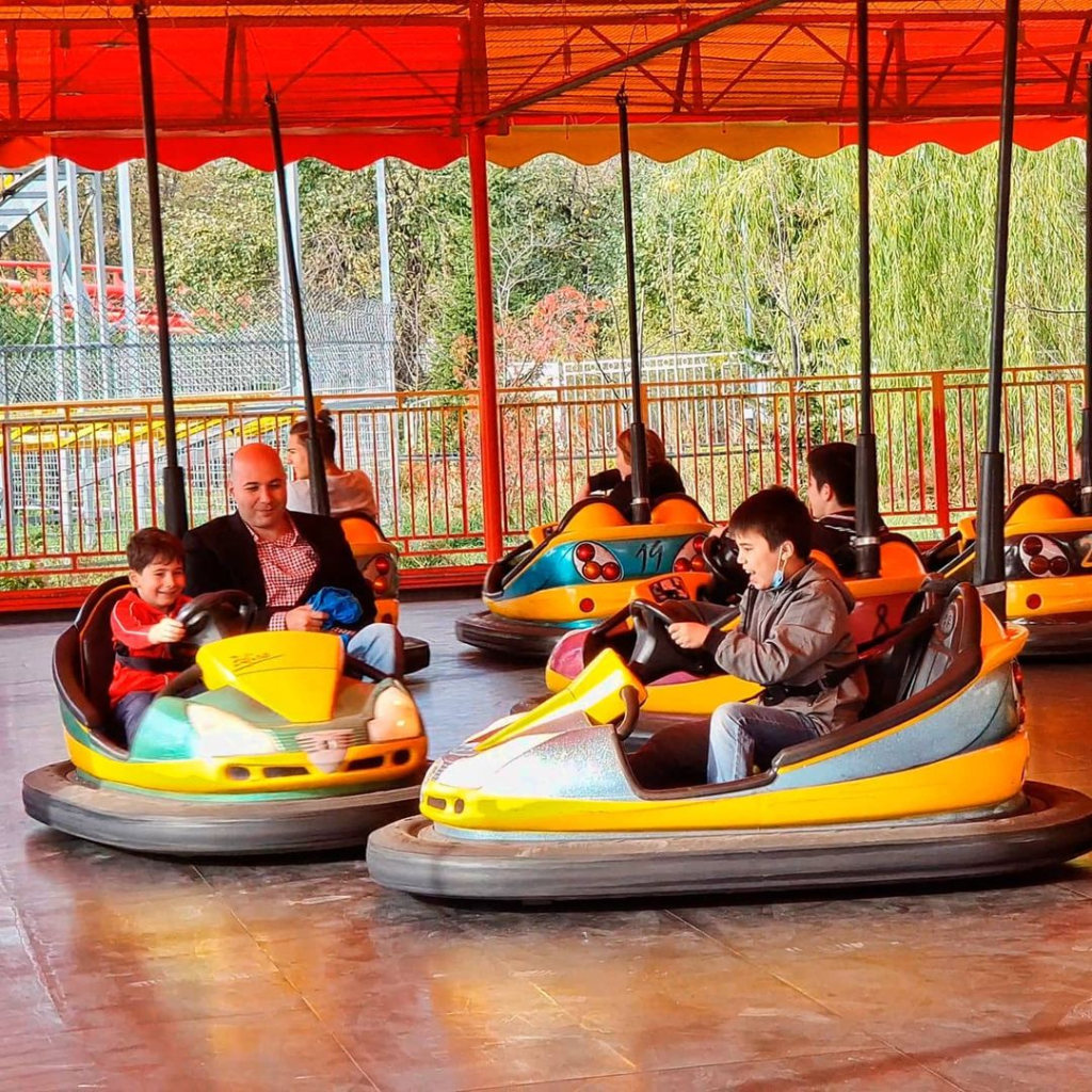 Bumper Car rides